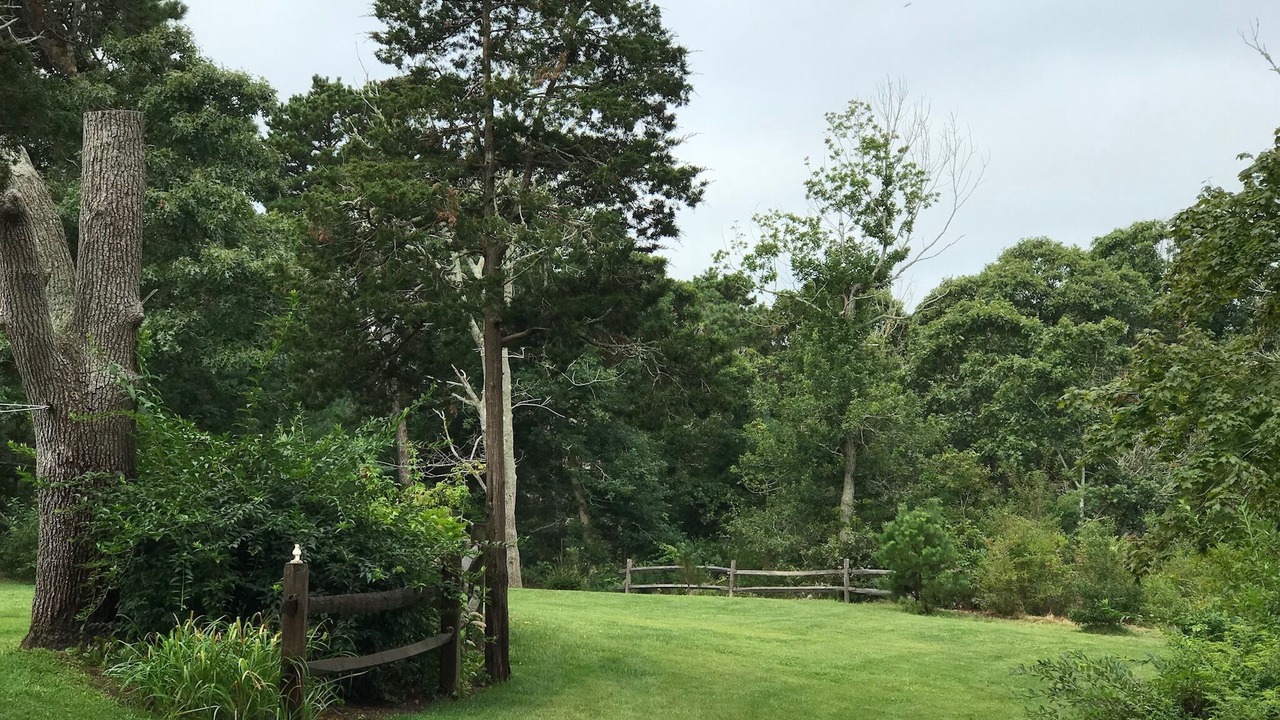 Photo of Outdoor in Eastham