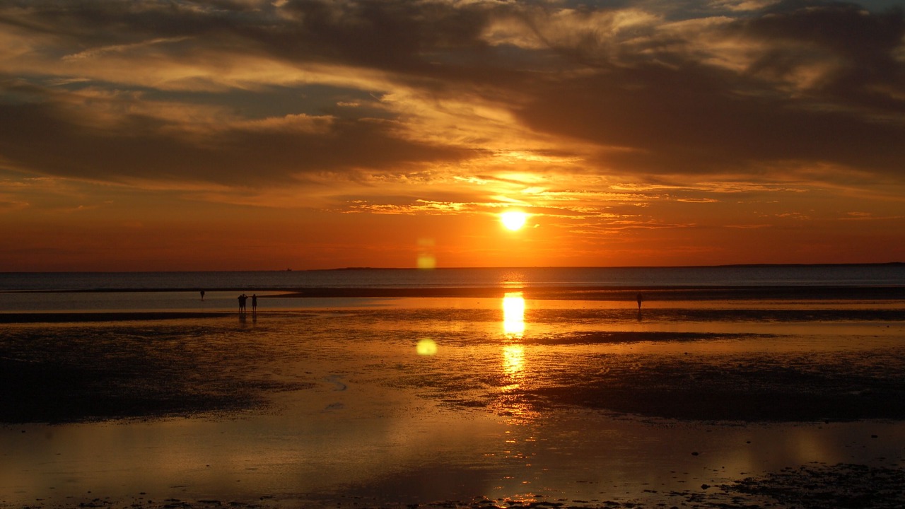 Photo of Others in Eastham