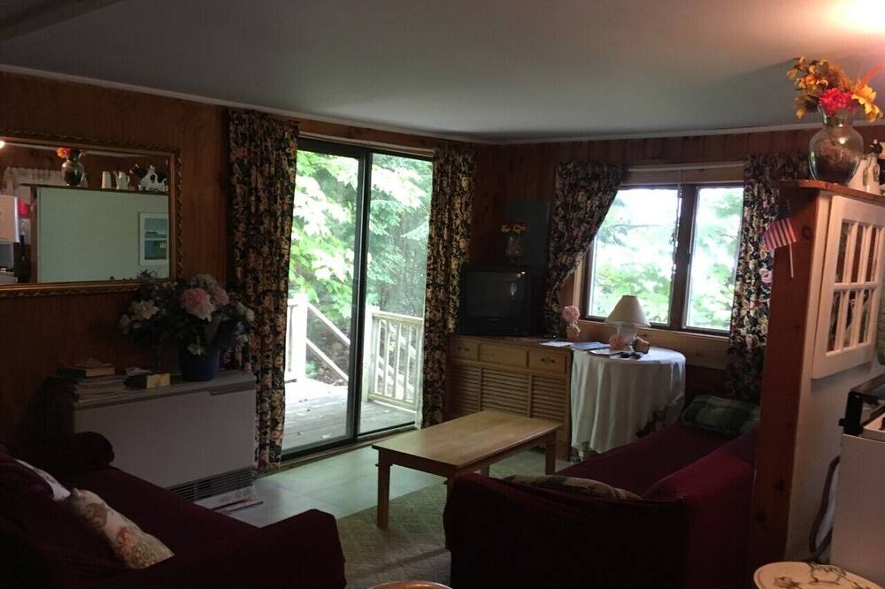 Photo of Livingroom in Laconia