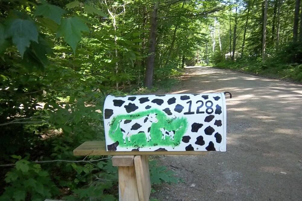 Photo of Outdoor in Laconia