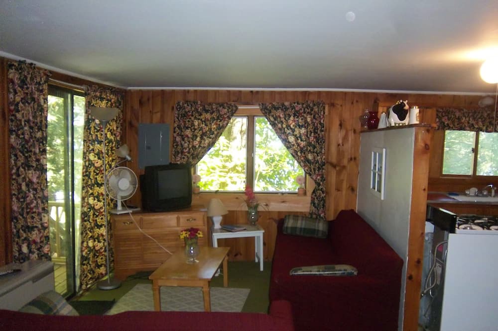 Photo of Livingroom in Laconia