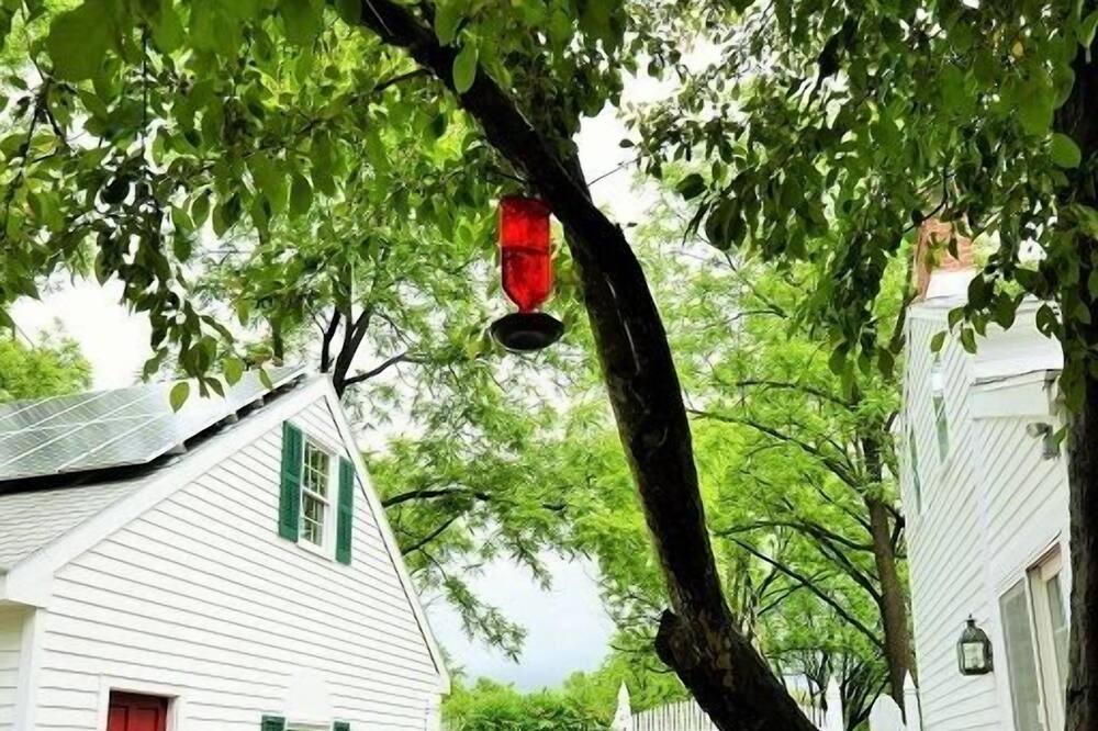 Photo of Outdoor in Hudson