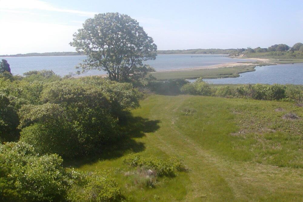 Photo of Others in Edgartown
