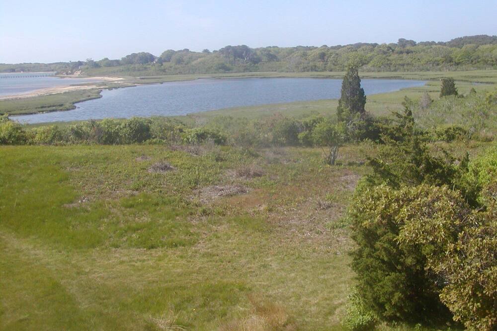 Photo of Others in Edgartown