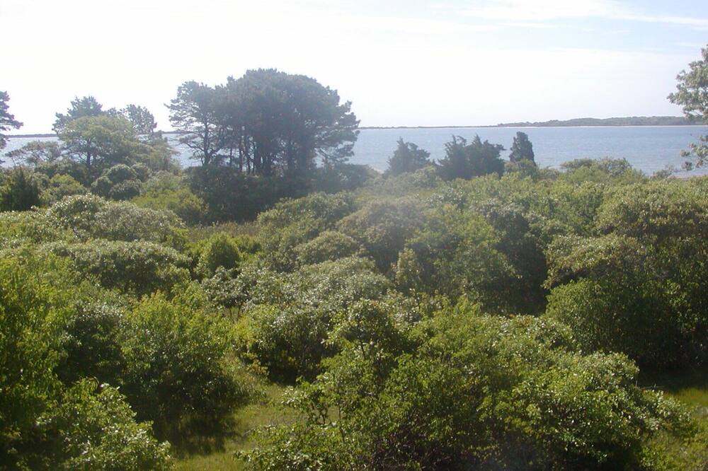 Photo of Others in Edgartown