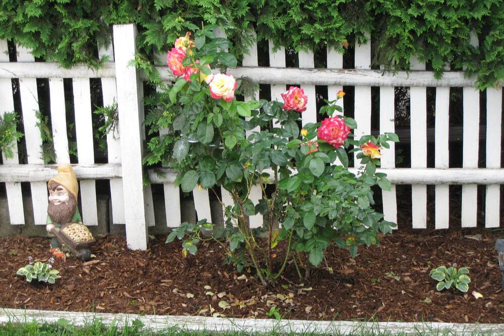 Photo of Outdoor in Canandaigua