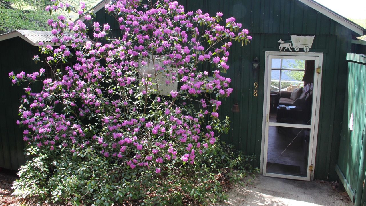 Photo of Outdoor in Windsor