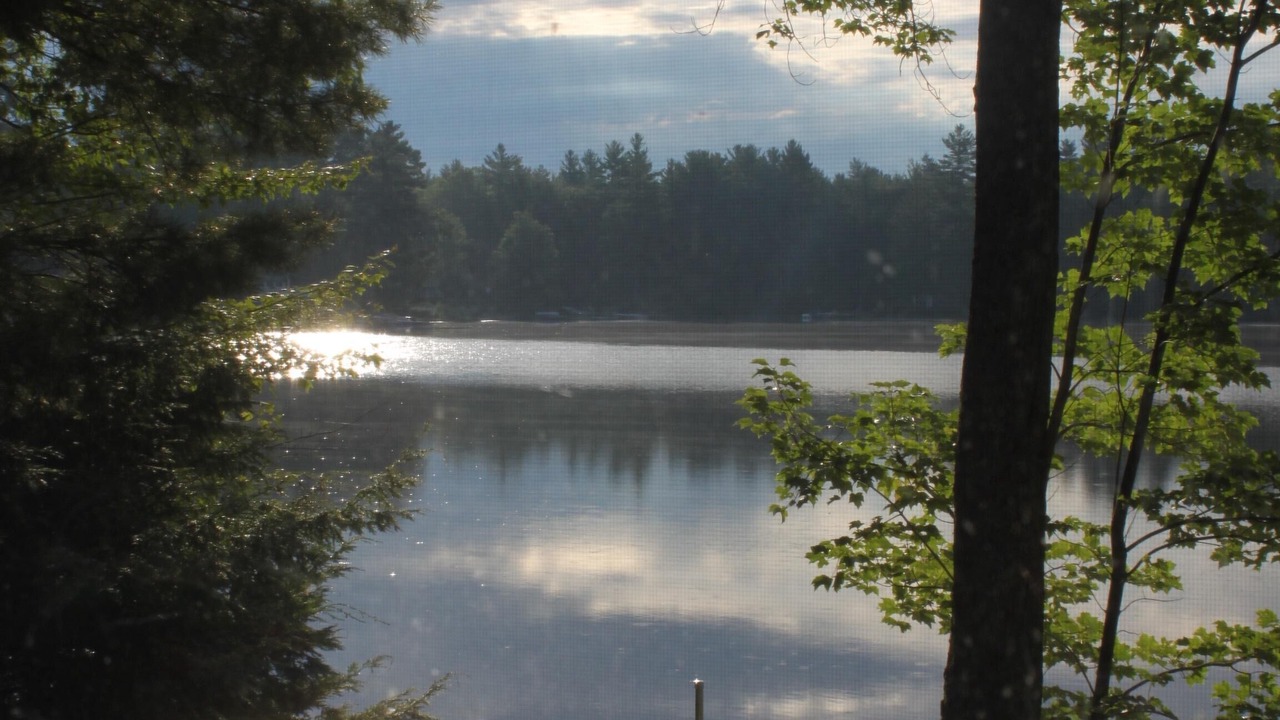 Photo of Others in Barnstead
