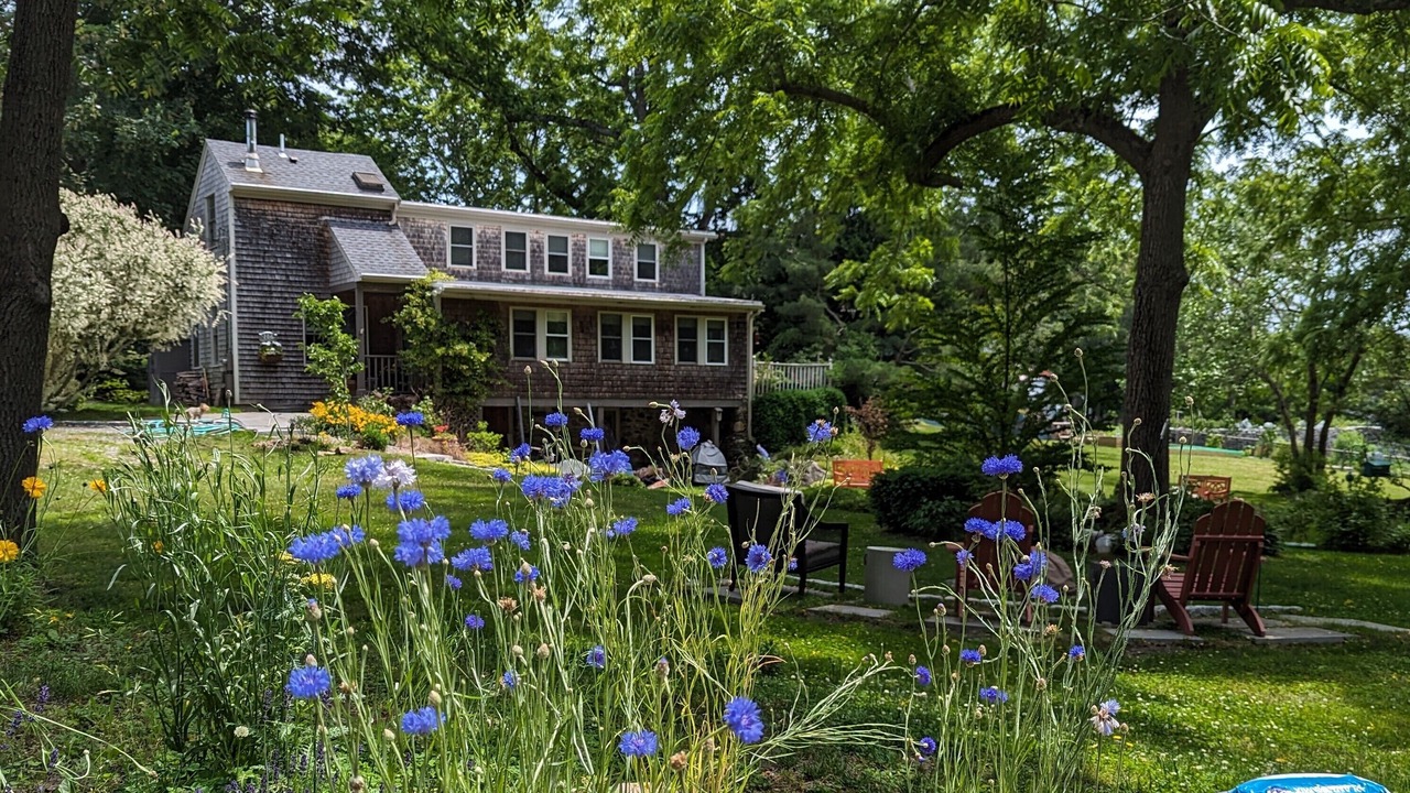 Photo of Outdoor in Tiverton