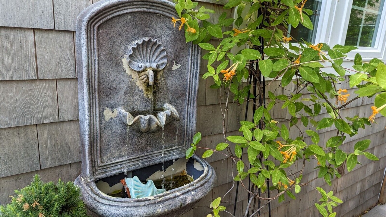 Photo of Outdoor in Tiverton