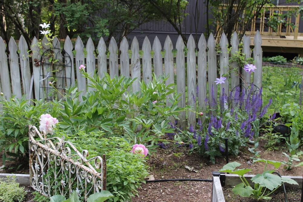 Photo of Others in North Lake George