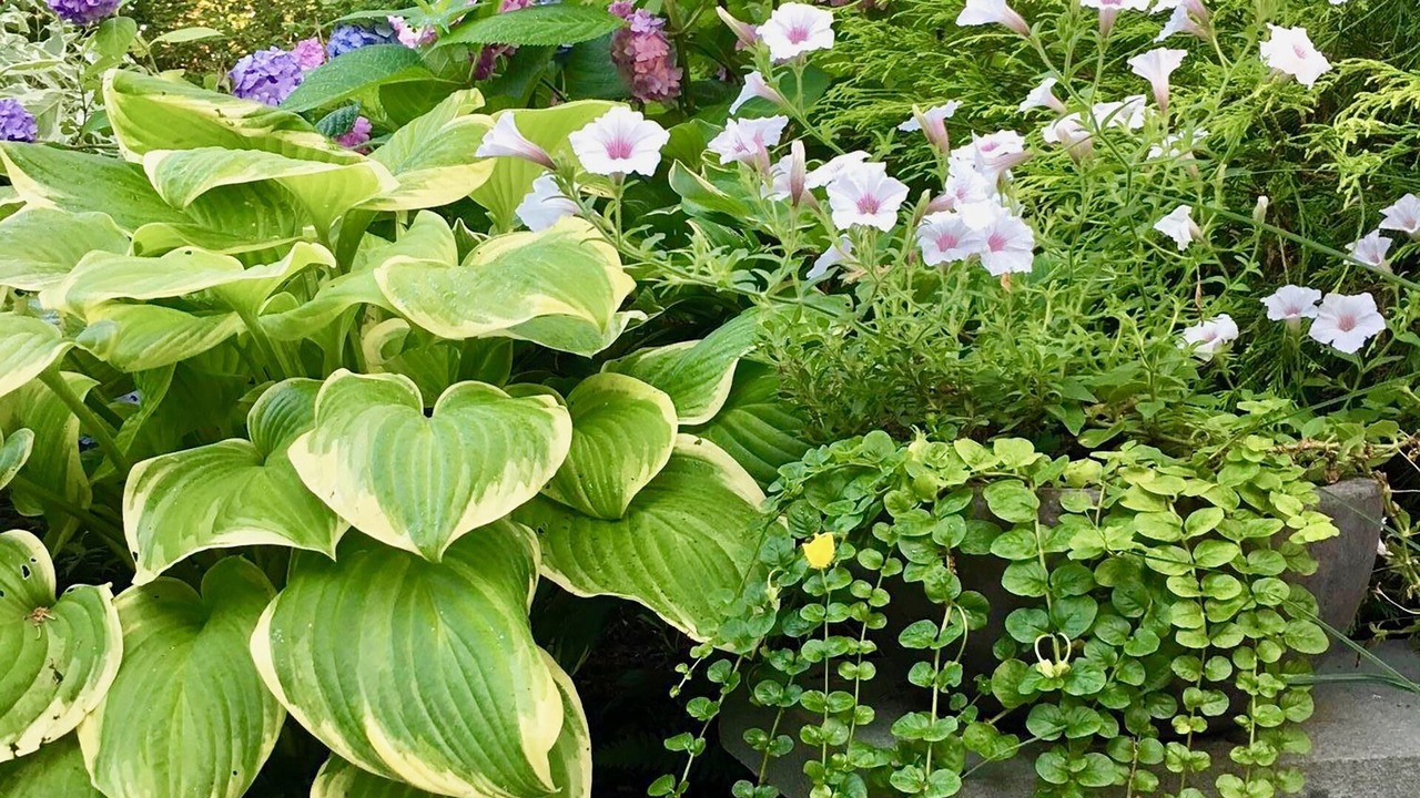 Photo of Outdoor in Provincetown