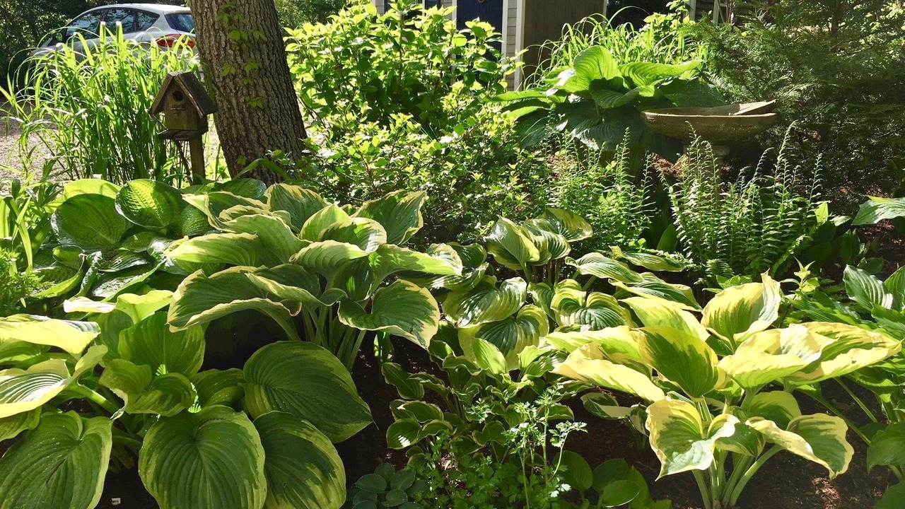 Photo of Outdoor in Provincetown