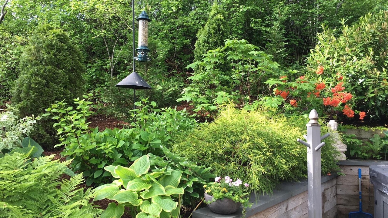 Photo of Outdoor in Provincetown