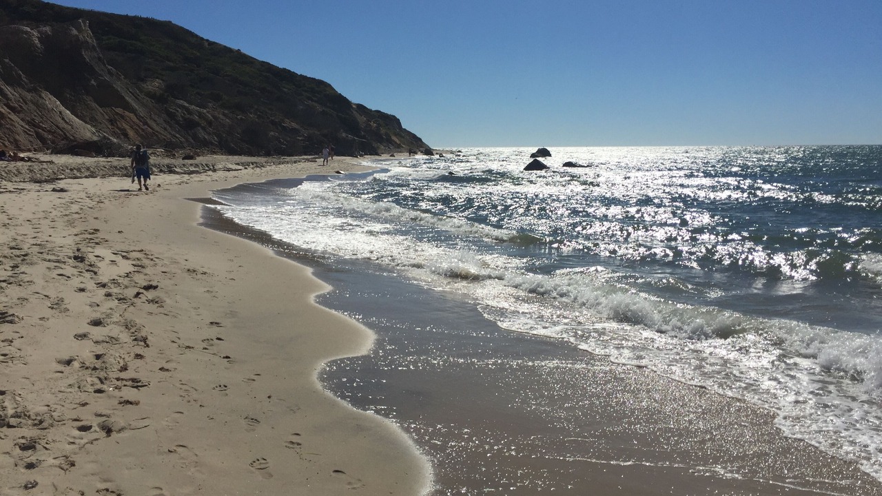 Photo of Others in West Tisbury