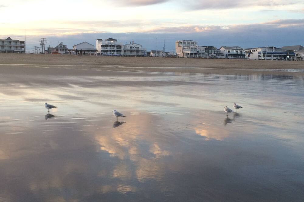 Photo of Others in Hampton