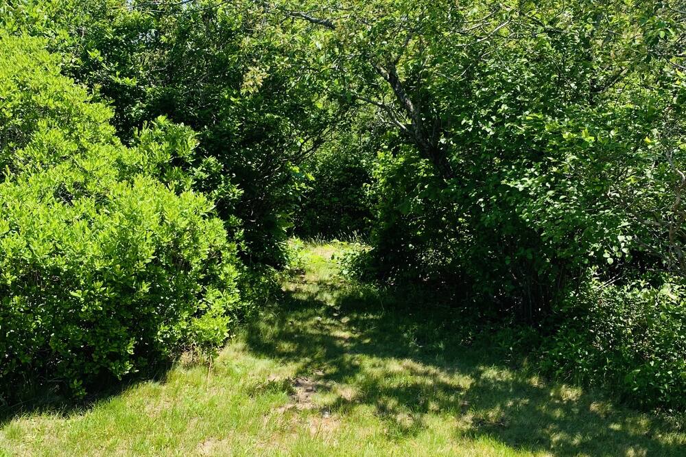 Photo of Others in Aquinnah