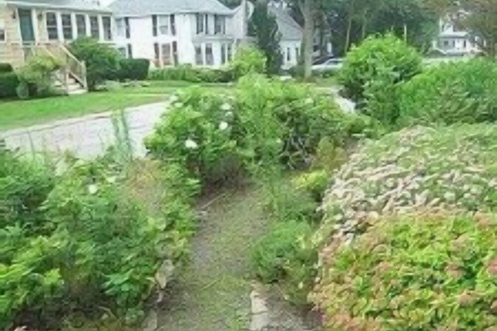 Photo of Outdoor in Pine Point