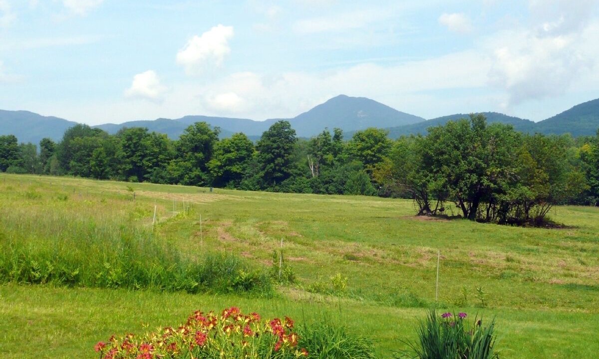 Photo of Outdoor in Stowe