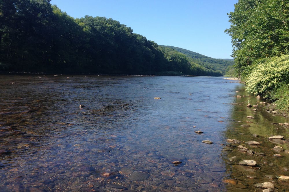 Photo of Others in Shelburne Falls