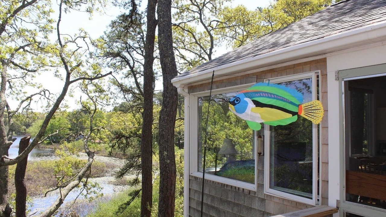 Photo of Others in Eastham
