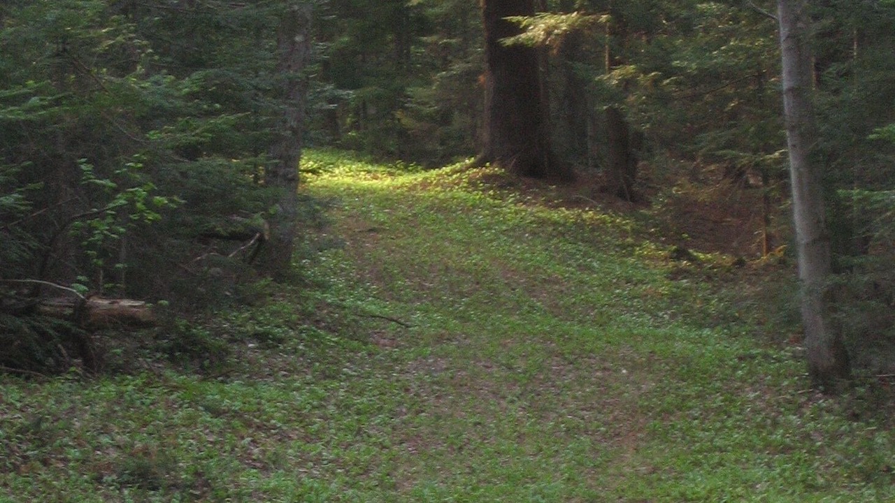 Photo of Outdoor in Londonderry