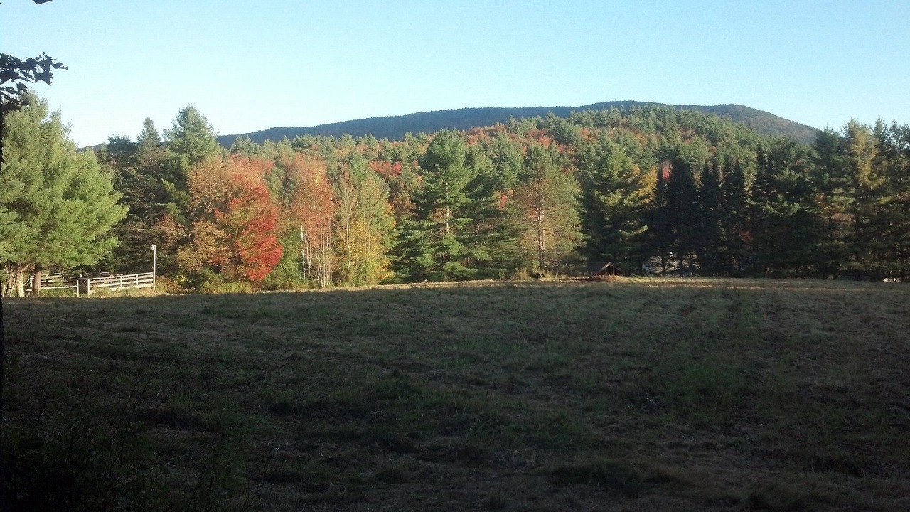 Photo of Outdoor in Londonderry