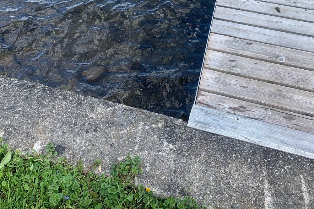 Photo of Others in Honeoye