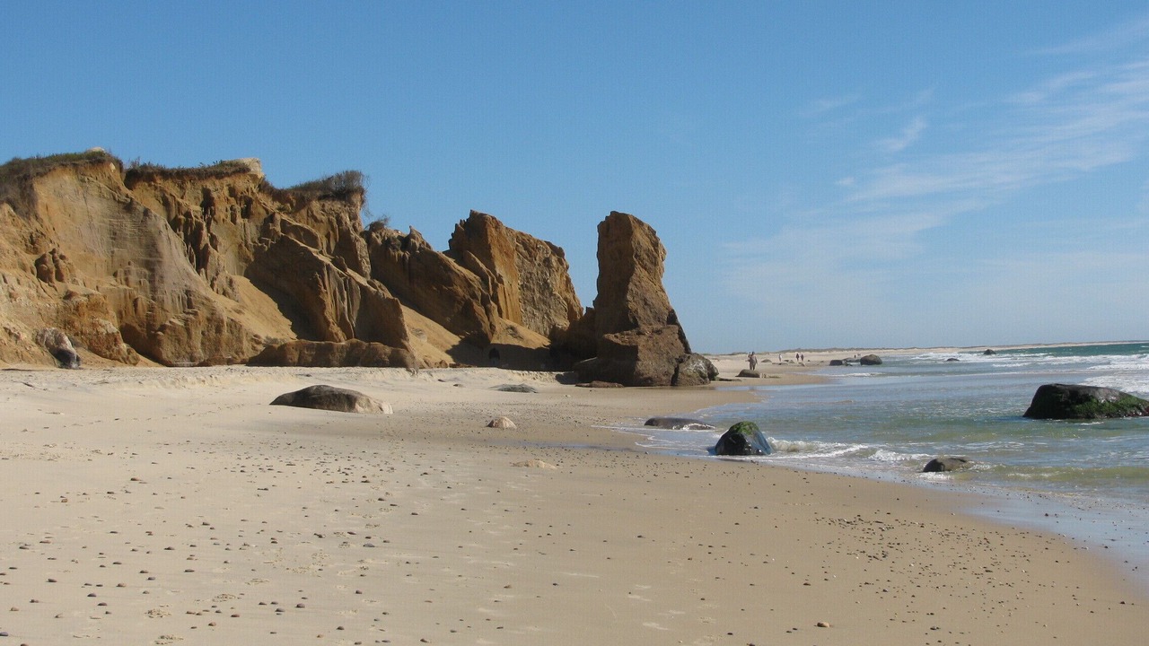 Photo of Others in Chilmark