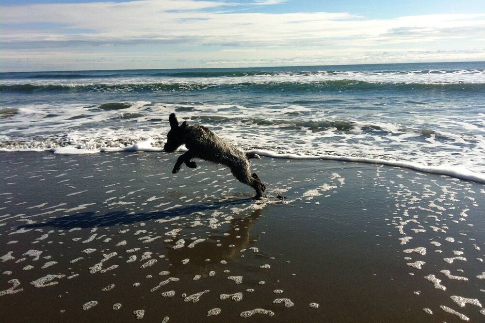 Photo of Others in Narragansett