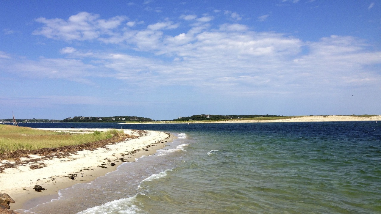 Photo of Others in West Chatham
