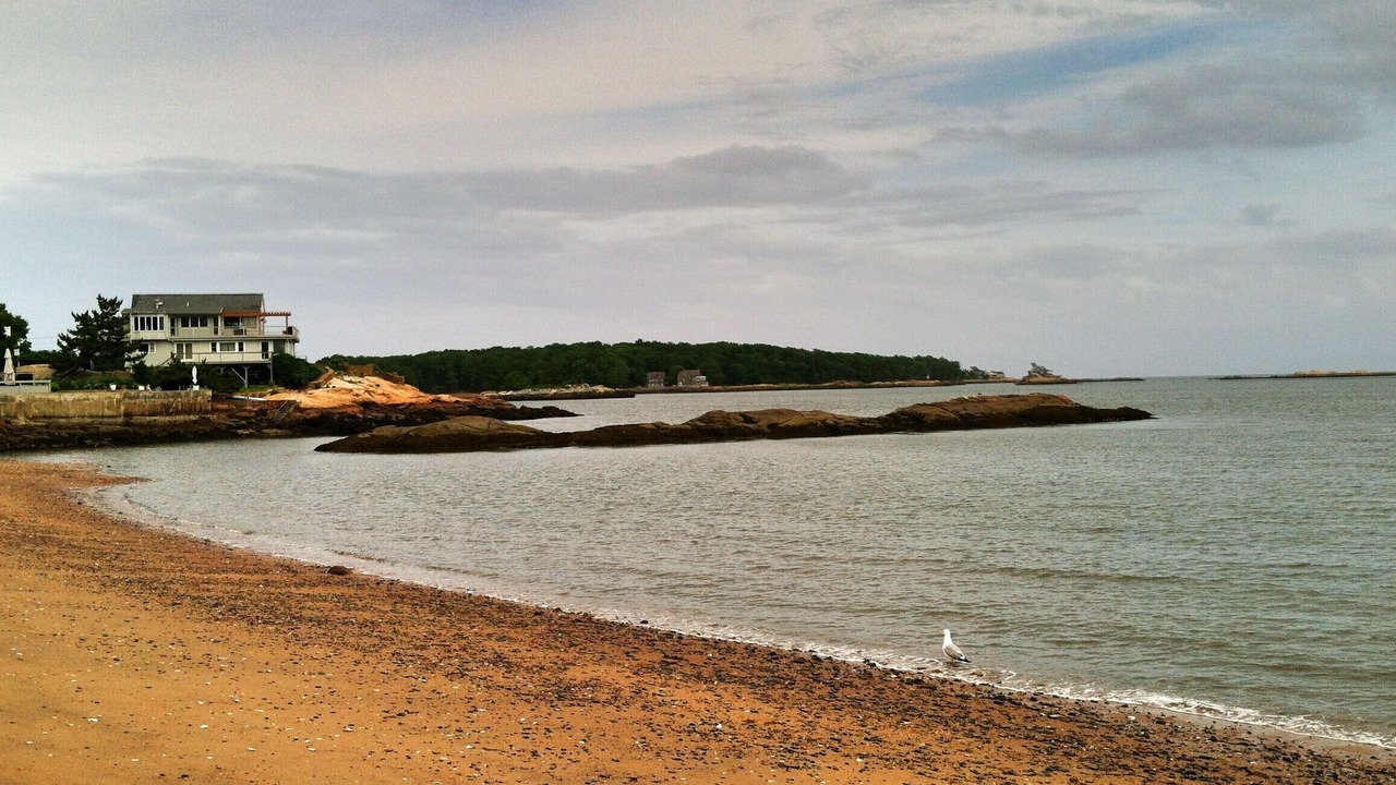 Photo of Others in Branford