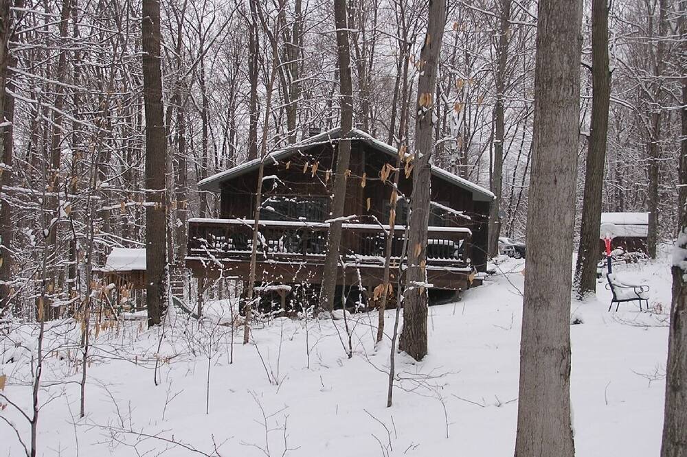 Photo of Others in Williamstown