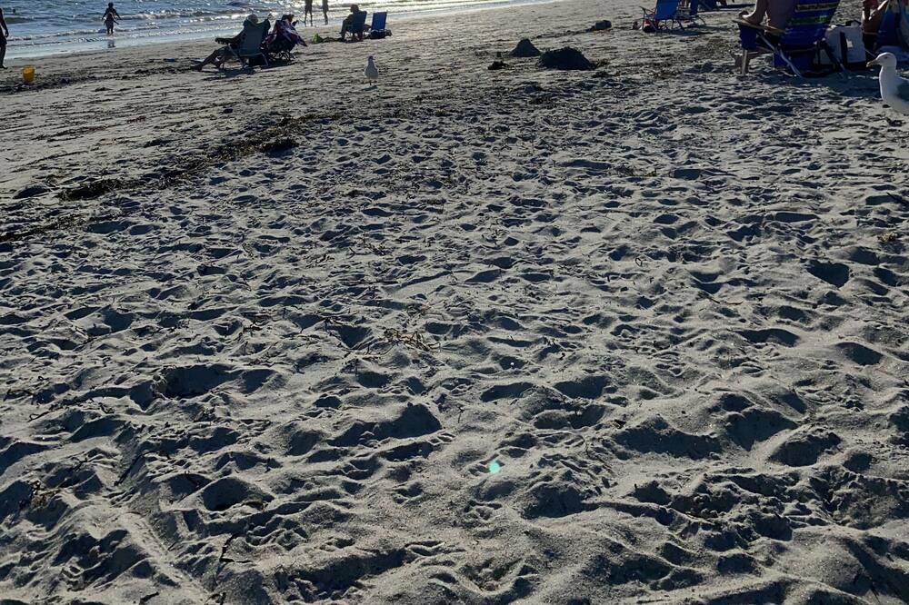 Photo of Others in Narragansett