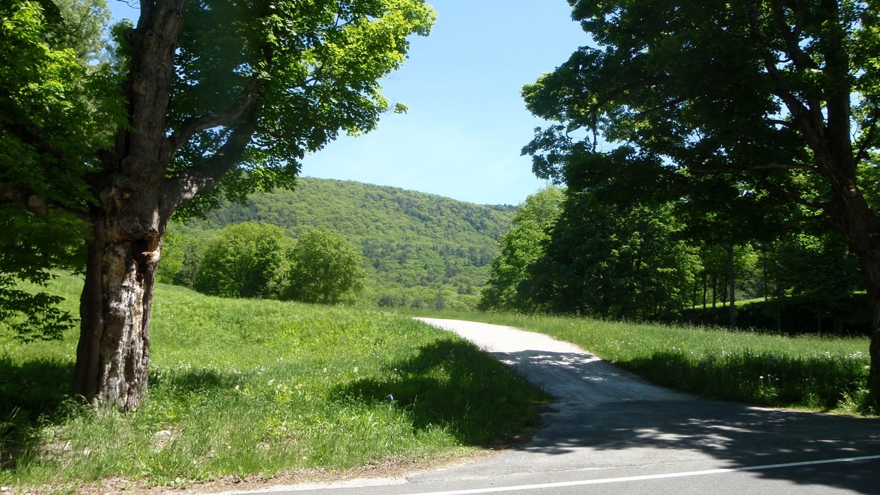 Photo of Outdoor in Tyringham