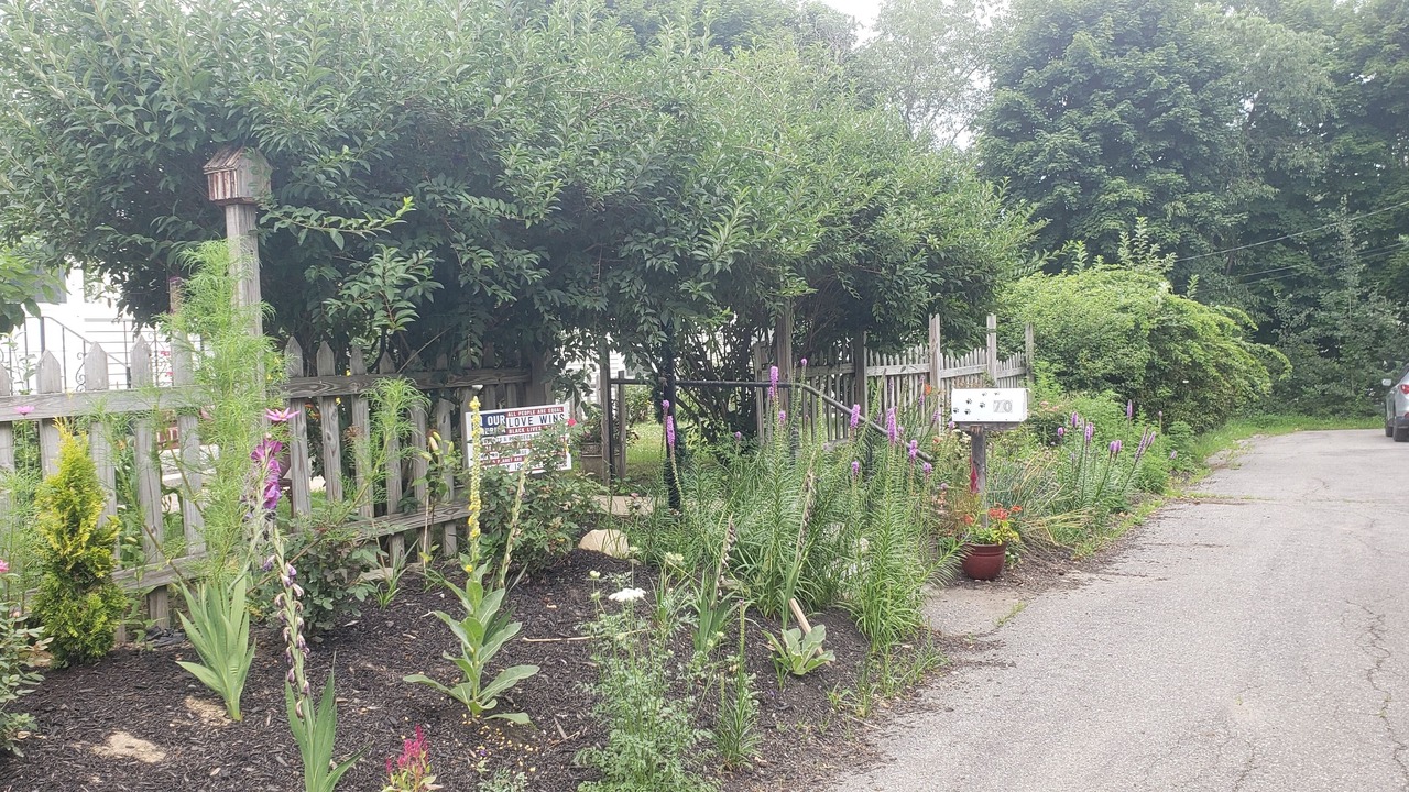 Photo of Outdoor in Kittery