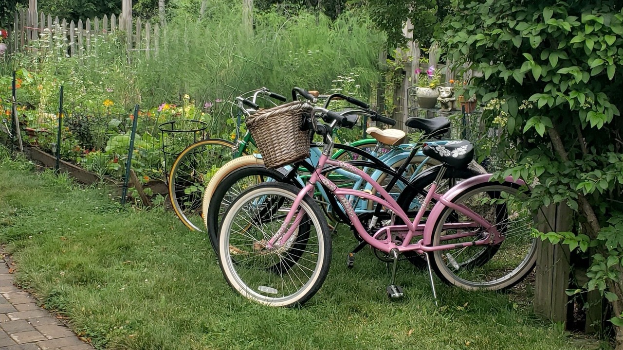 Photo of Outdoor in Kittery