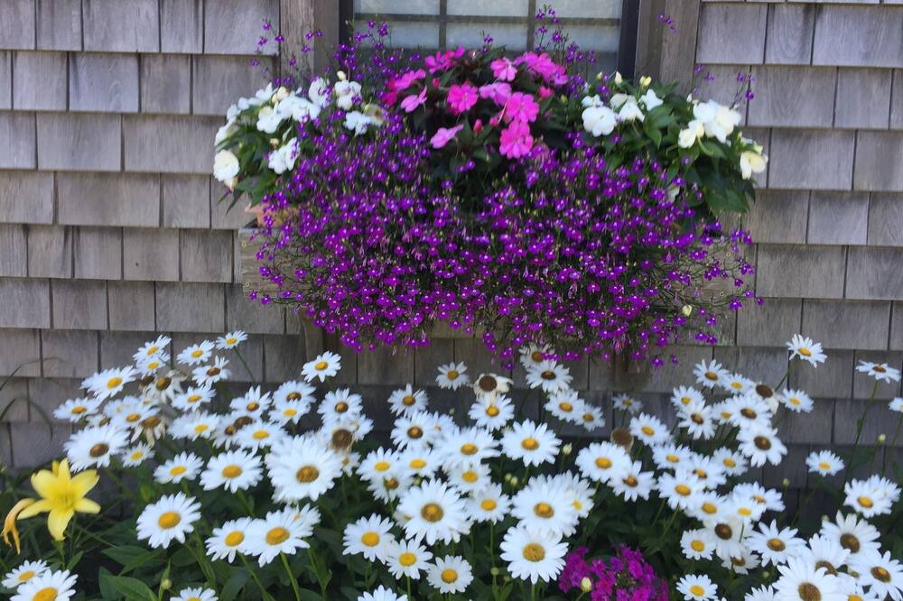 Photo of Others in Brant Rock