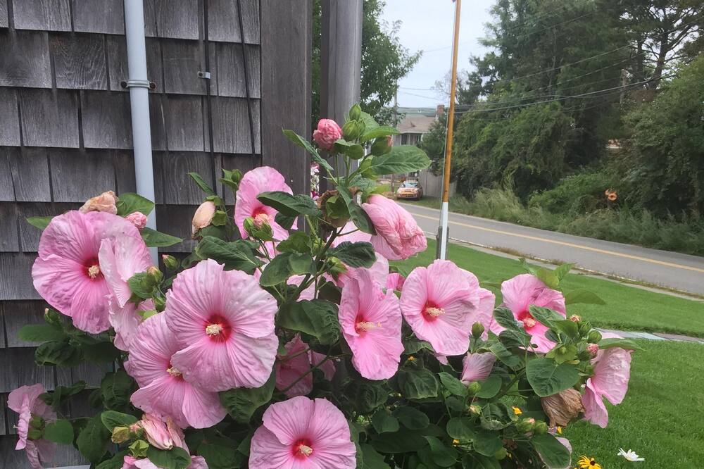 Photo of Others in Brant Rock