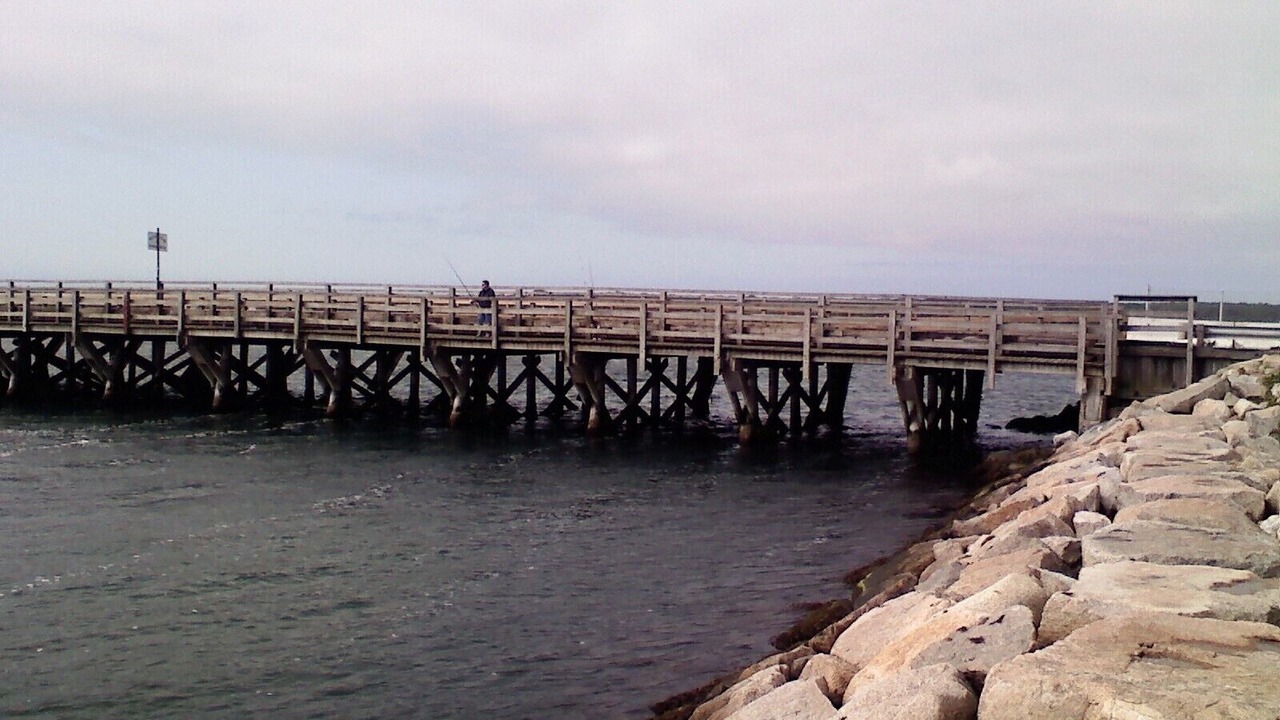 Photo of Others in Tisbury