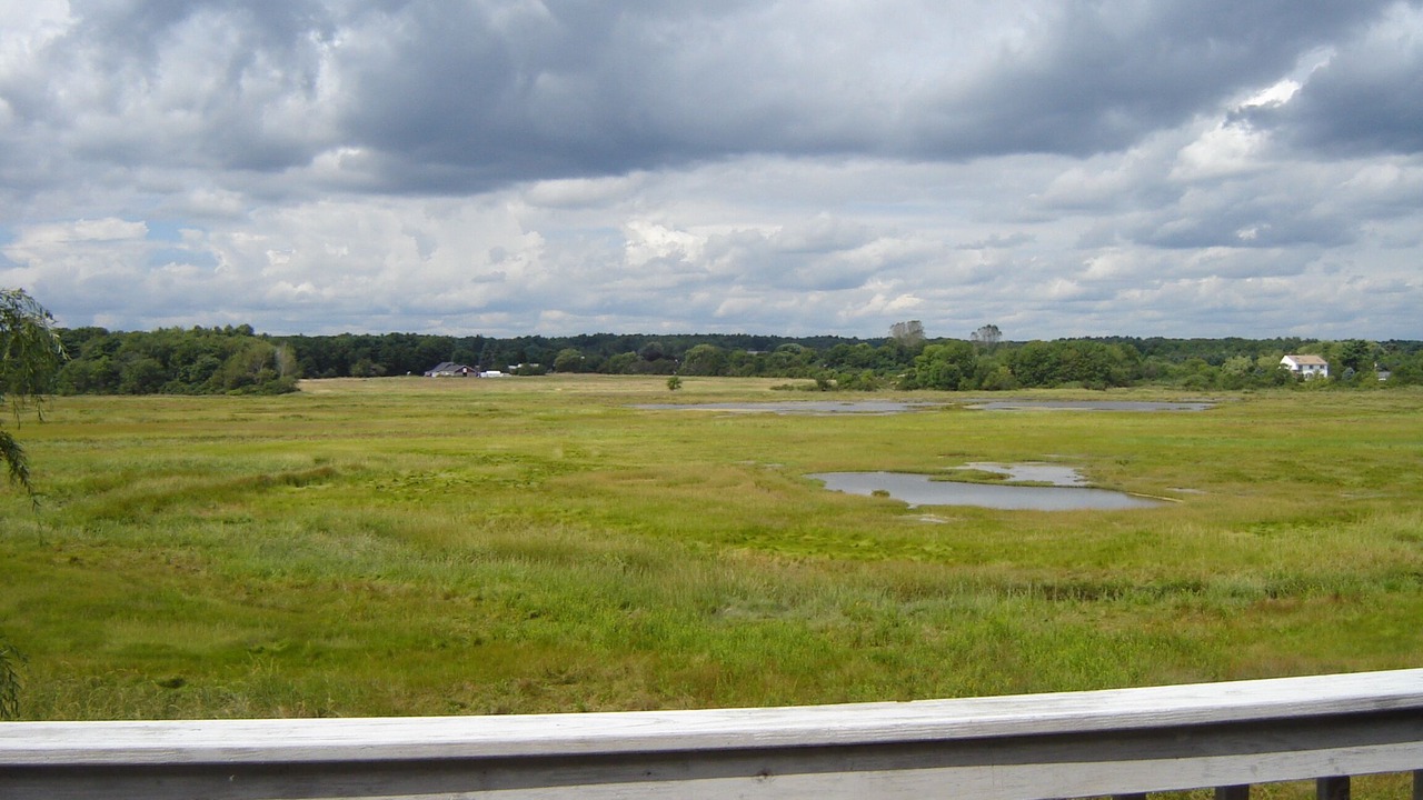 Photo of Others in Wells