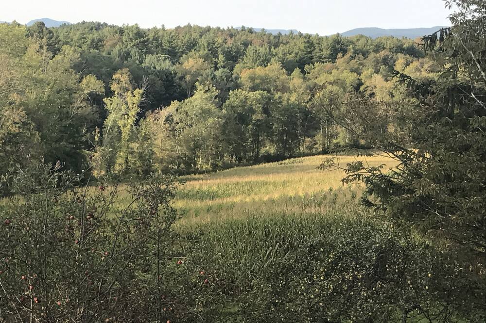Photo of Others in Taconic