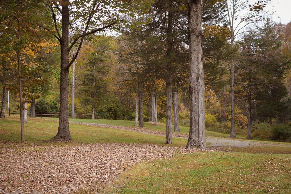 Photo of Others in Hollowville