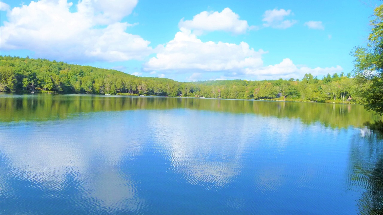 Photo of Outdoor in West Hartland