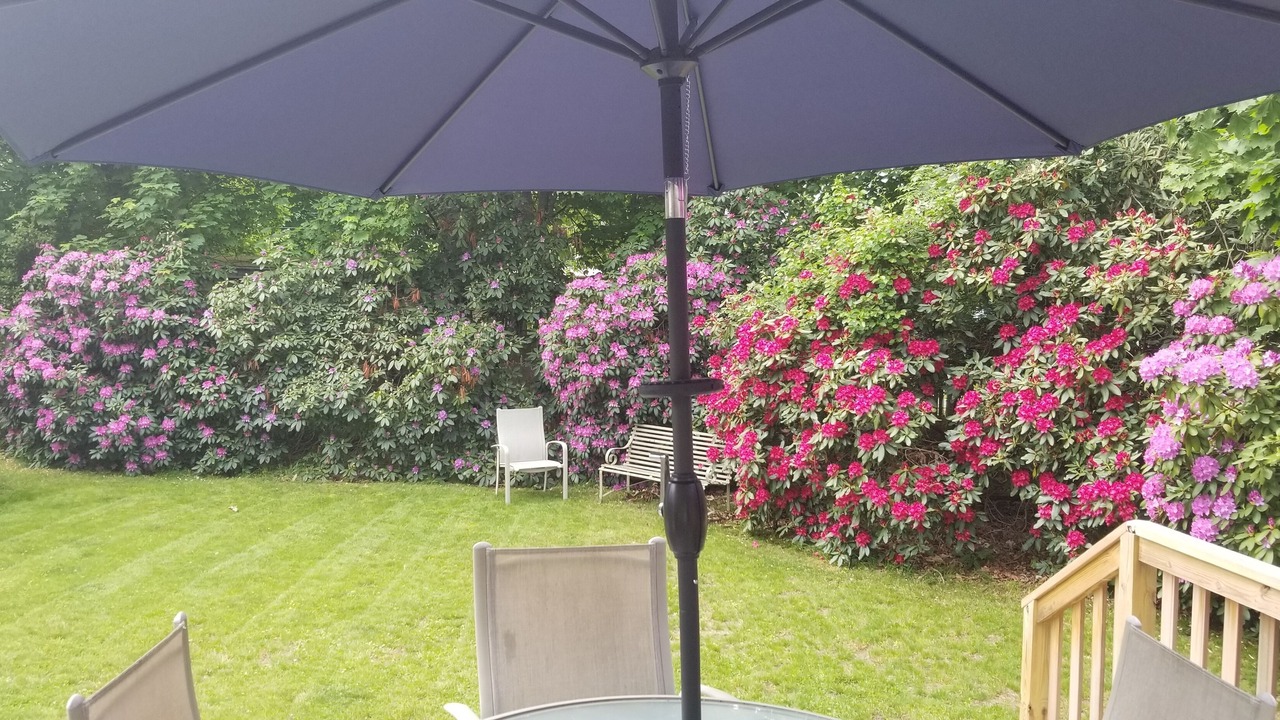 Photo of Outdoor in Charlestown