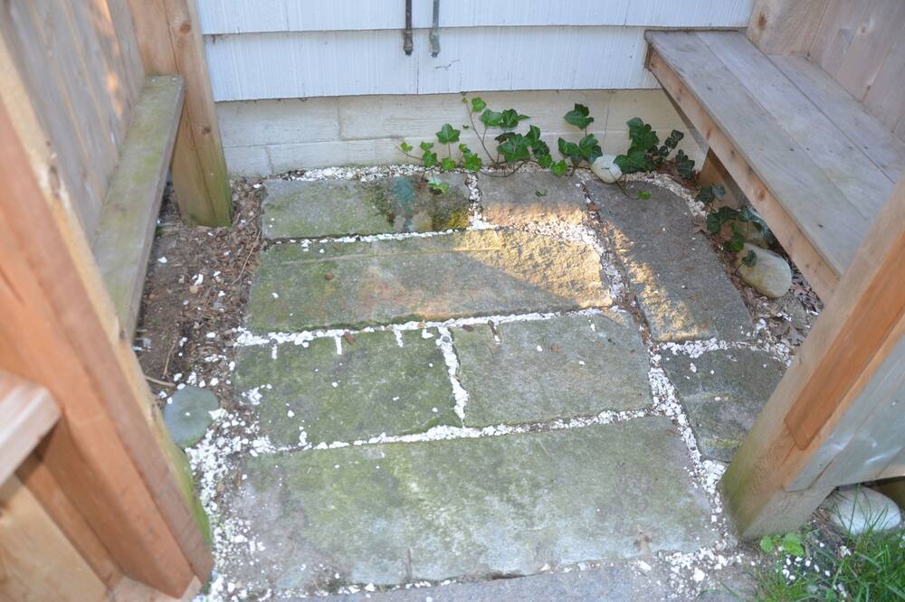 Photo of Outdoor in Edgartown