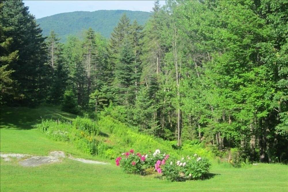 Photo of Outdoor in Belmont