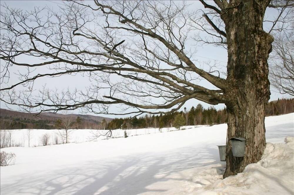 Photo of Others in Belmont