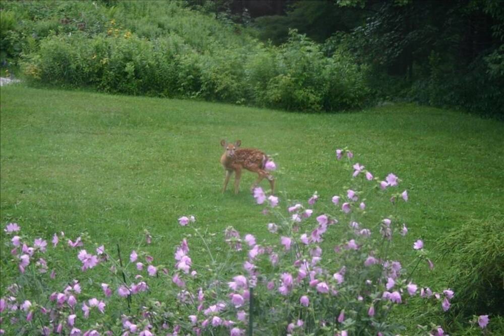 Photo of Others in Belmont