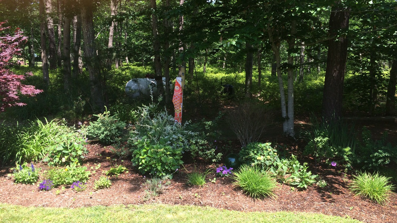 Photo of Outdoor in West Tisbury